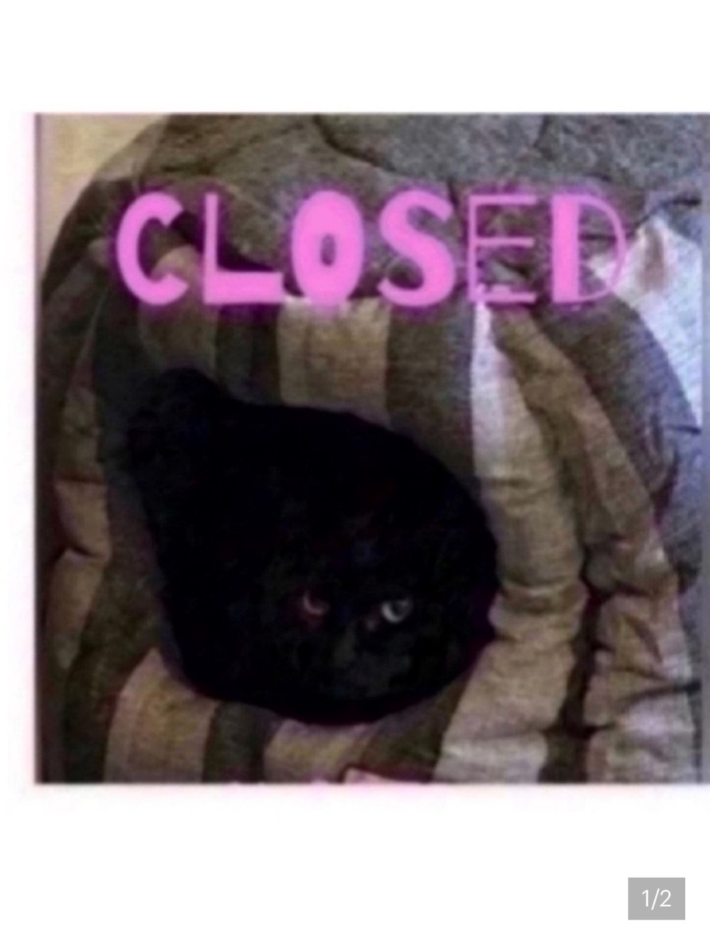 CLOSED 🐈‍⬛Pillows pick 5